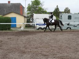 img_5833_web